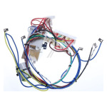 Whirlpool Indesit 488000738535 ledningsnett kokeplate bilde 2