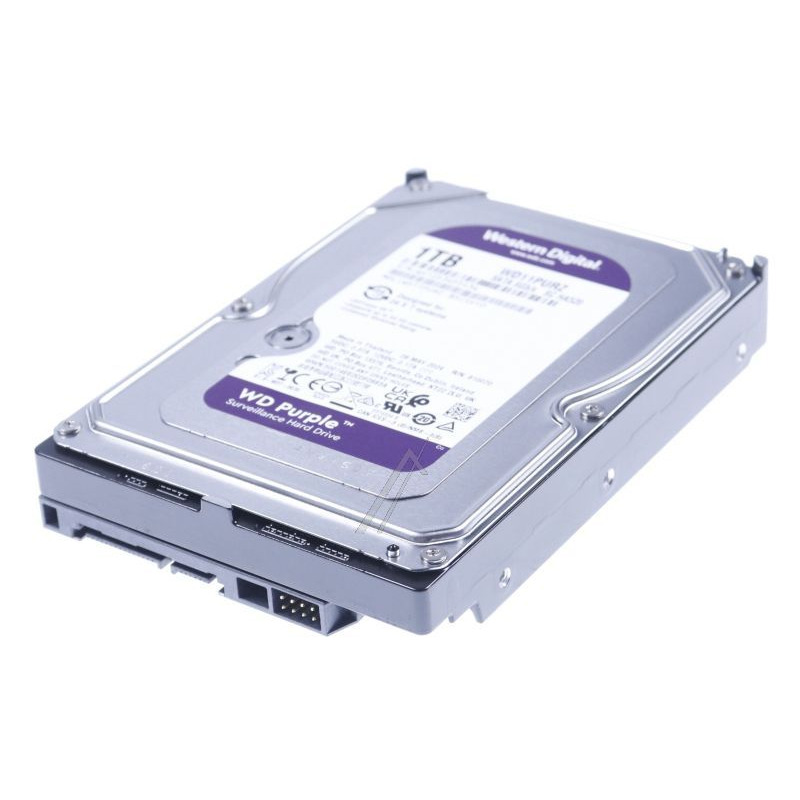 【OUTLET】SOLID MINIFAT 5.6 Purple OUTLET】SOLID MINIFAT 5.6 Purple OUTLET】SOLID MINIFAT 5.6 Purple