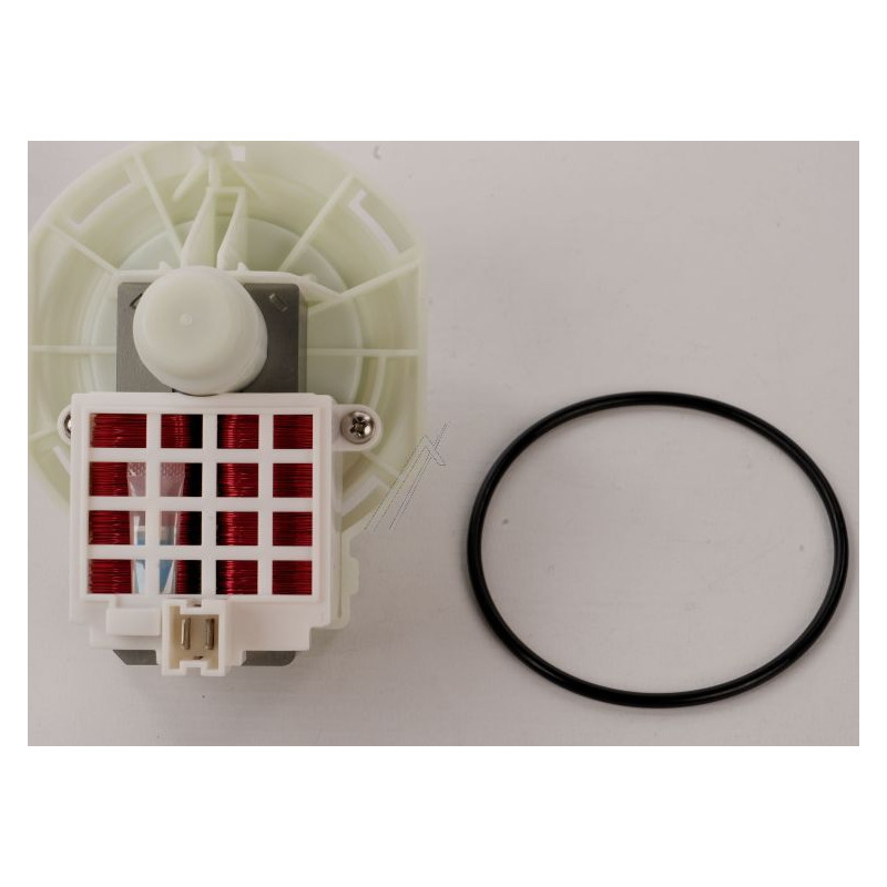 154844101 Kit Motore Lavastoviglie Pompa di Circolazione Motore per