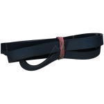 Cinghia Rigata 1884 H5 Poly V Asciugatrice Electrolux 1255028100 Di.Gi.T. Service