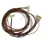 Mazo de cables Whirlpool Indesit 488000515816 imagen 2