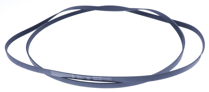 Cinghia 1975 Ph 5 Trockner per Electrolux AEG 379011200