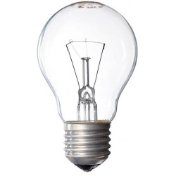 Bulb